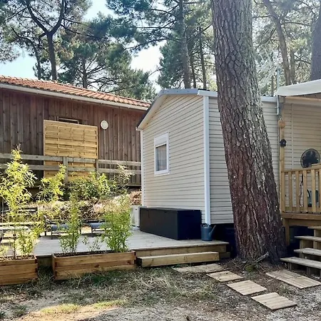 La Cabane Des Pins Lège-Cap-Ferret Esterno foto