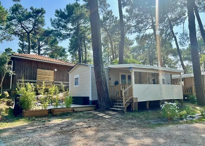 La Cabane Des Pins